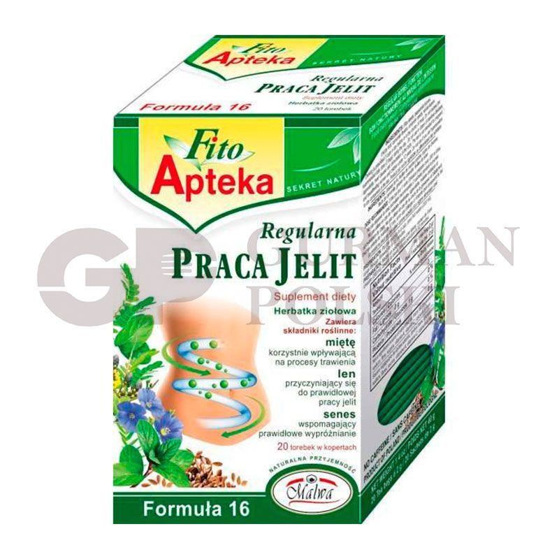 Te FITO APTEKA intestinal regular 20 x2g MALWA